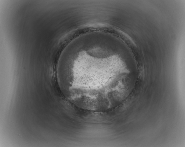X0000113920966200910221350