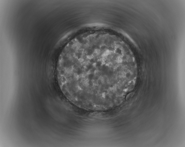 X0000113920967200910221350