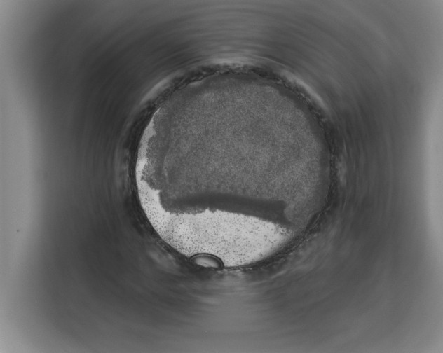 X0000113920968200910221350