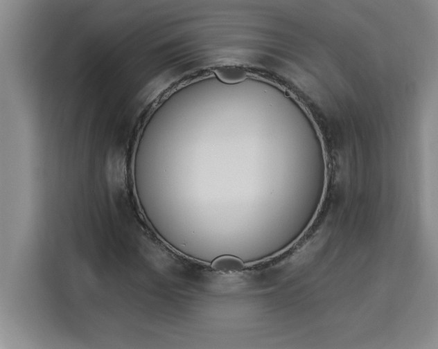 X0000113920969200910221350