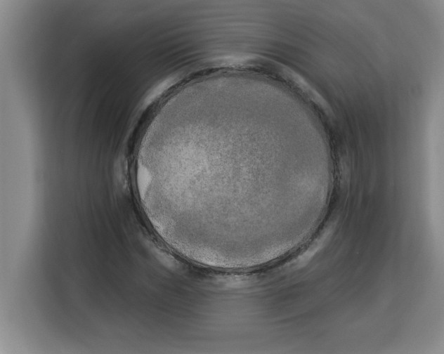 X0000113920970200910221350