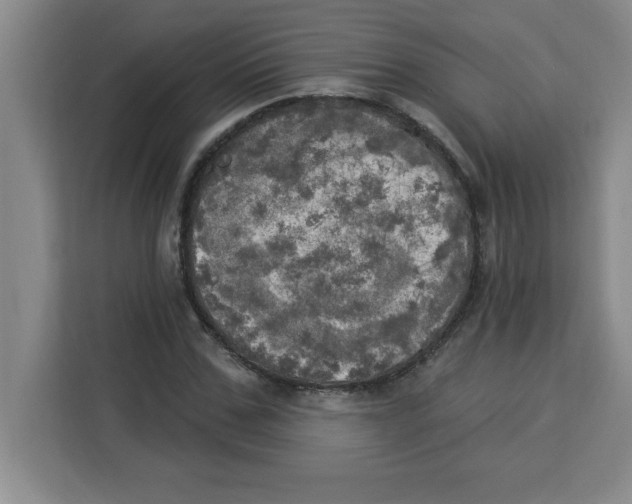 X0000113920971200910221350