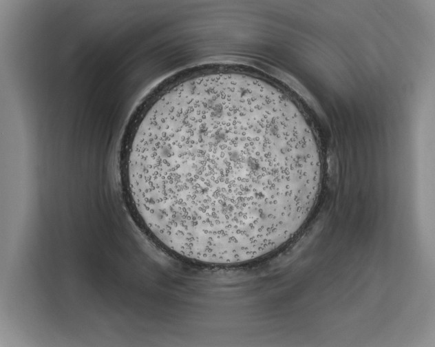 X0000113920972200910221350