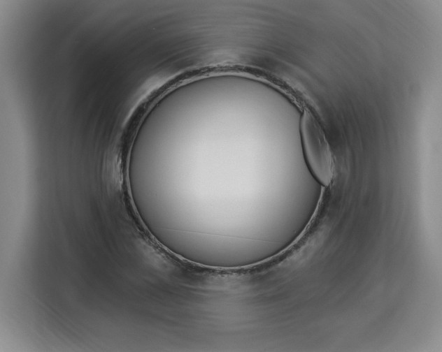 X0000113920973200910221350