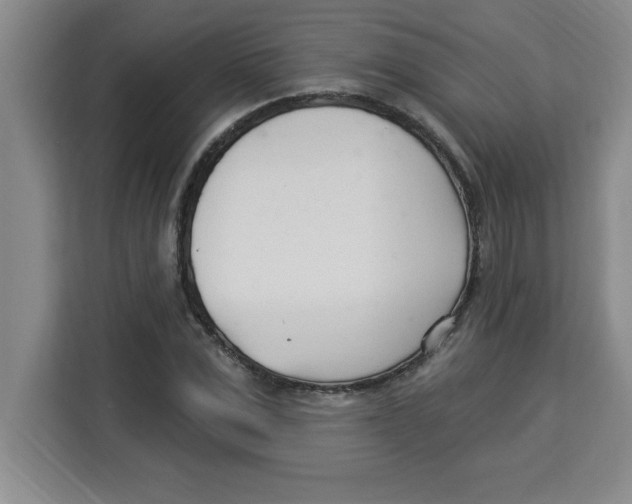 X0000113920975200910221350