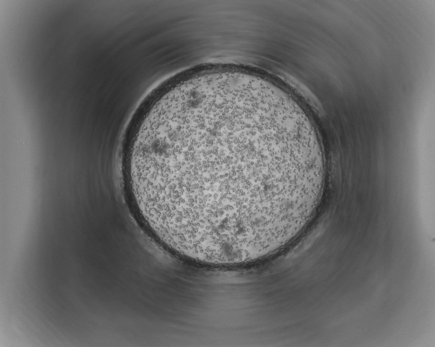 X0000113920976200910221350