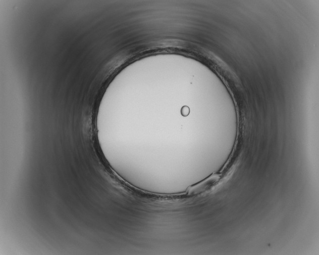 X0000113920977200910221350