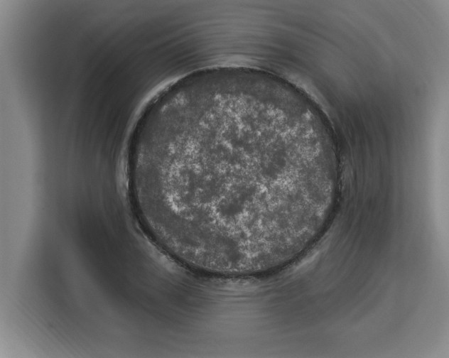 X0000113920979200910221350