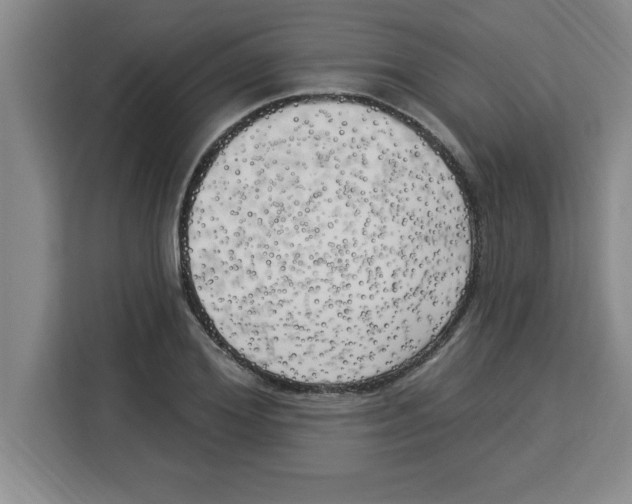 X0000113920980200910221350