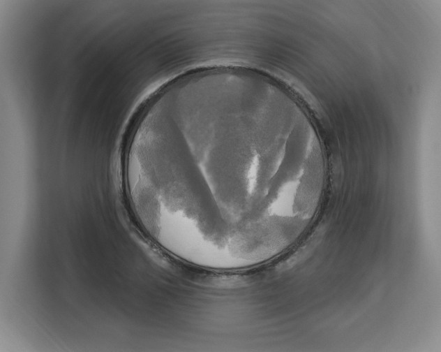 X0000113920982200910221350