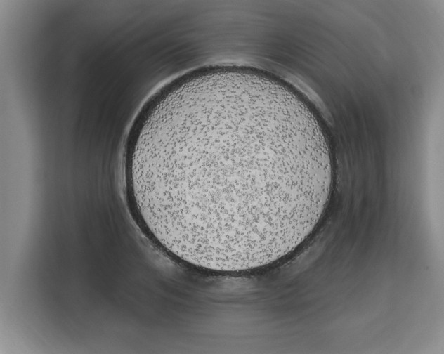 X0000113920984200910221350