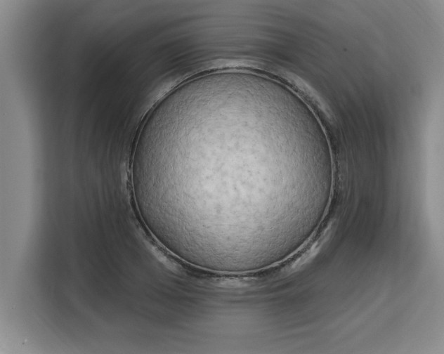 X0000113920985200910221350