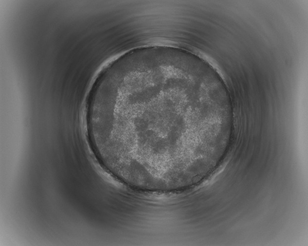 X0000113920987200910221350