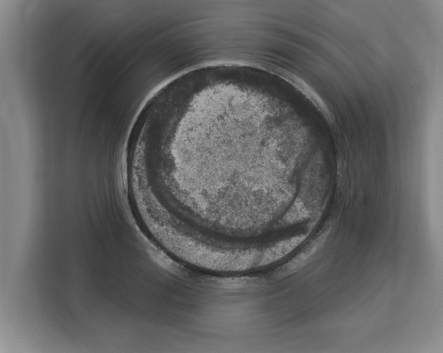 X0000113920988200910221350