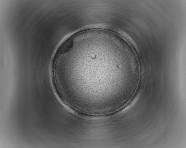 X0000113920989200910221350