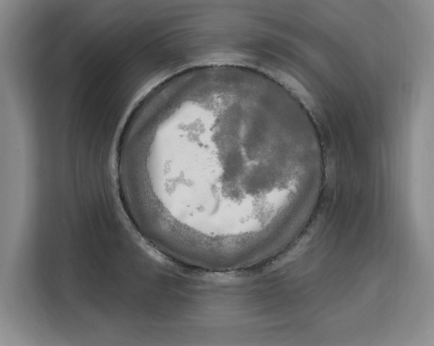 X0000113920990200910221350
