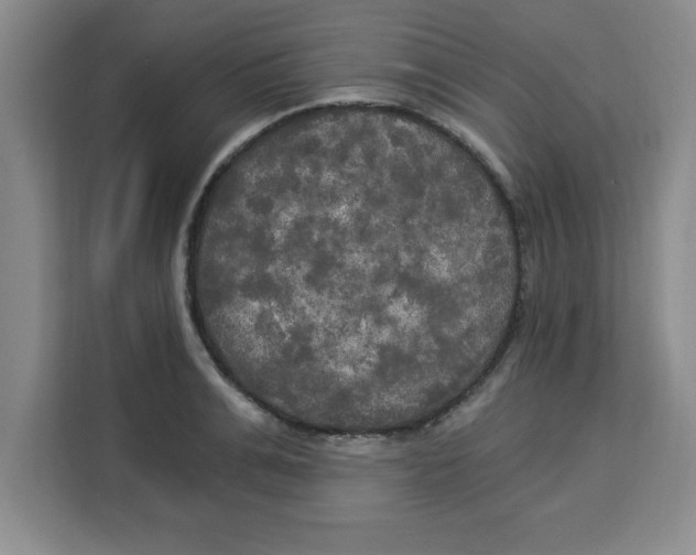 X0000113920991200910221350