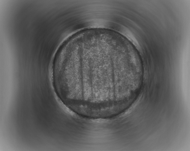 X0000113920992200910221350