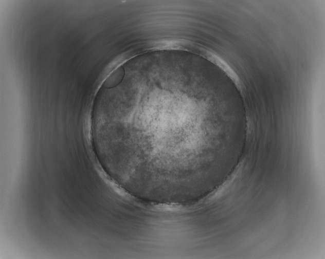 X0000113920994200910221350