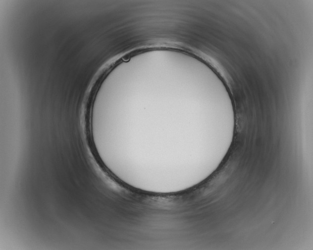 X0000113920995200910221350