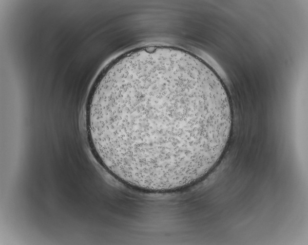 X0000113920996200910221350