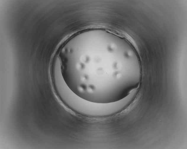 X0000113920997200910221350