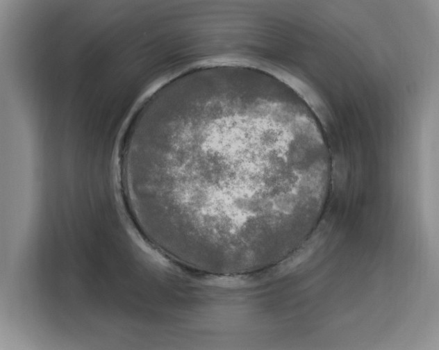 X0000113920998200910221350