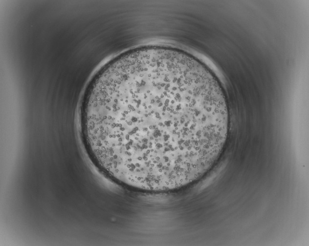 X0000113920999200910221350
