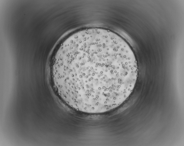X0000113921000200910221350