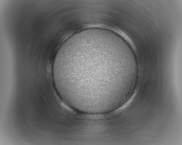 X0000113921001200910221350