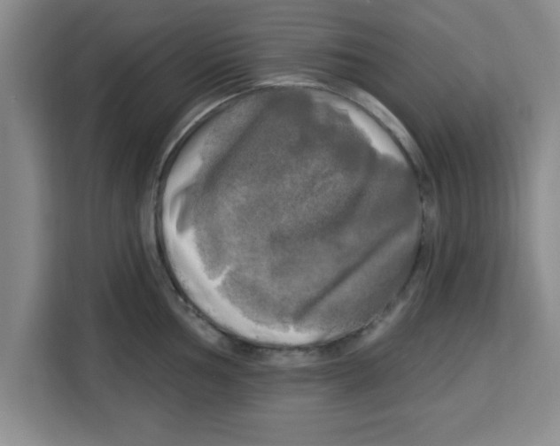 X0000113921002200910221350
