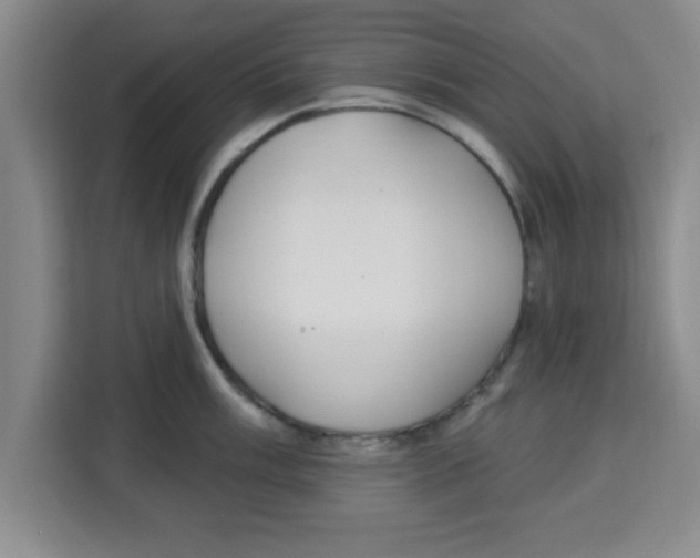 X0000113921003200910221350