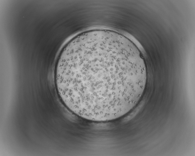 X0000113921004200910221350