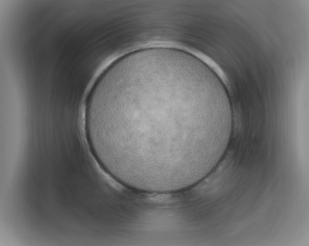 X0000113921006200910221350