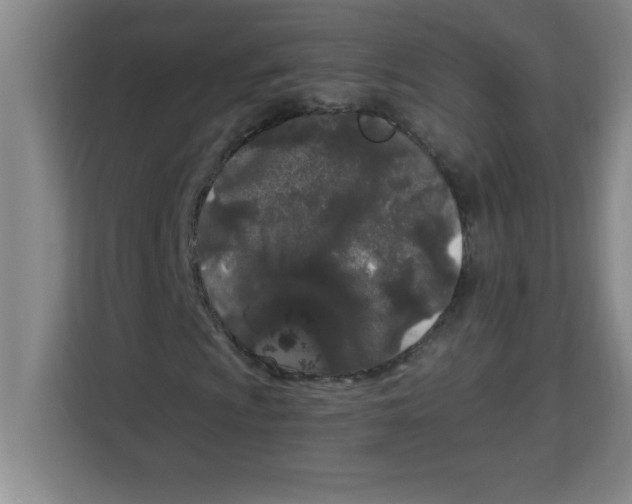 X0000113921009200910221349