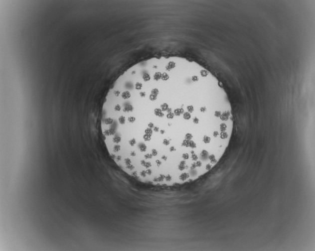 X0000113921010200910221349