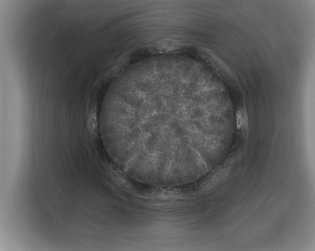 X0000113921011200910221349