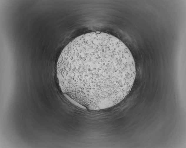 X0000113921012200910221349