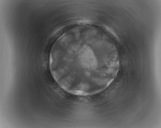 X0000113921015200910221349