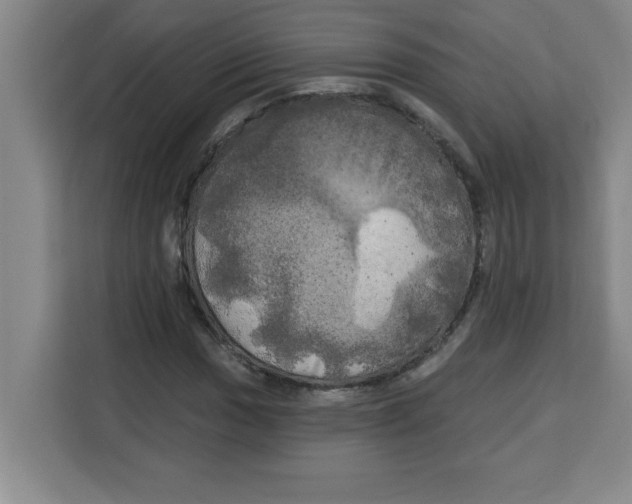 X0000113921017200910221349