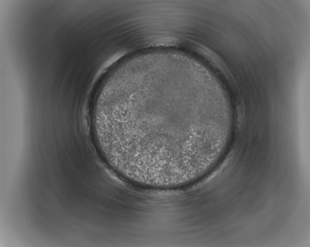 X0000113921018200910221349
