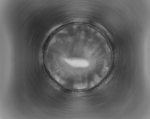 X0000113921019200910221349