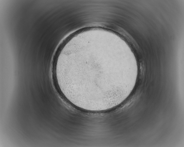 X0000113921020200910221349