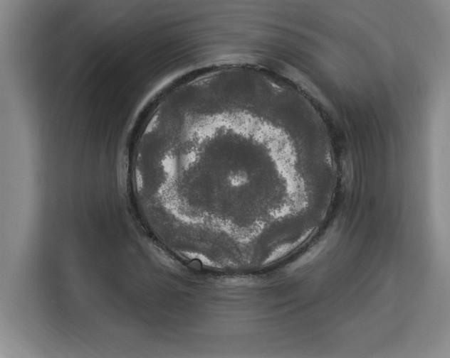 X0000113921021200910221349