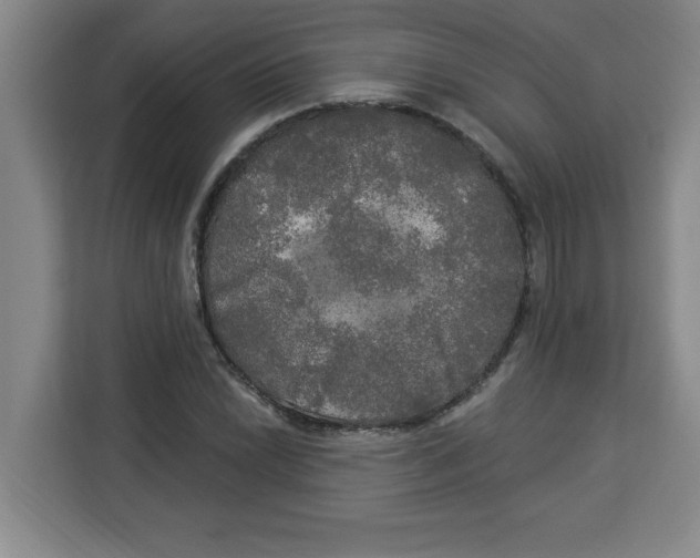 X0000113921022200910221349