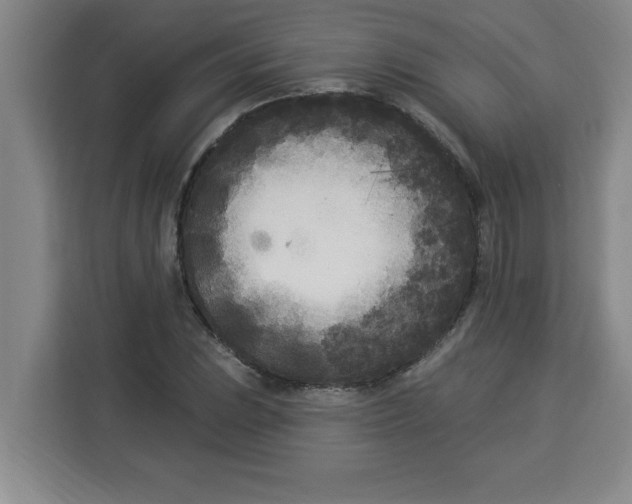 X0000113921023200910221349