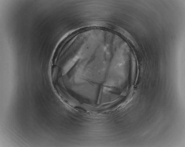 X0000113921024200910221349