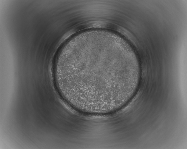 X0000113921026200910221349