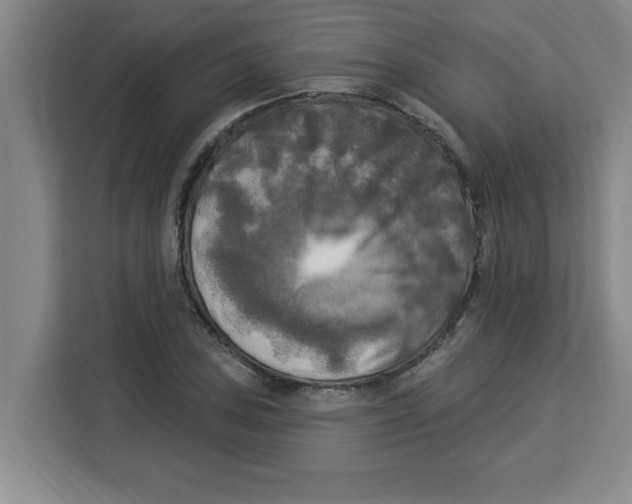 X0000113921027200910221349