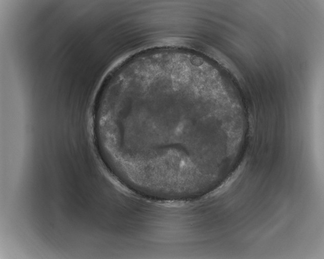 X0000113921029200910221349